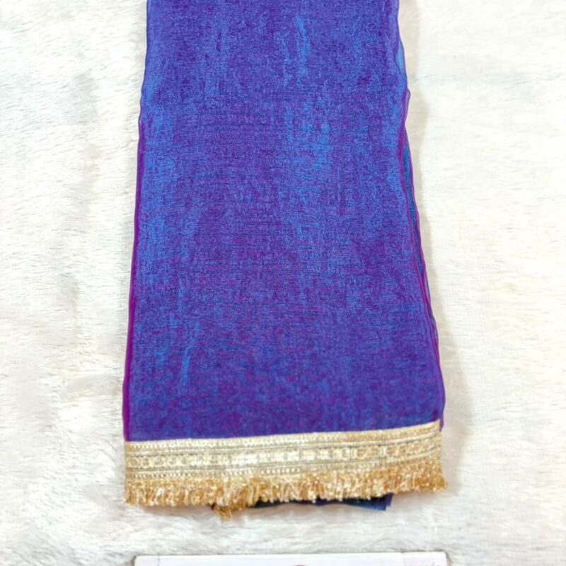 08.Chanderika Plane Sadi ( चंदेरिका प्लेन साडी )