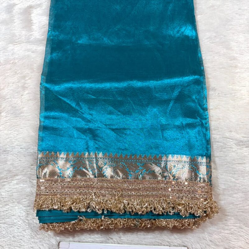 14.Plane Tissue Sadi ( प्लेन टिश्यू साडी )